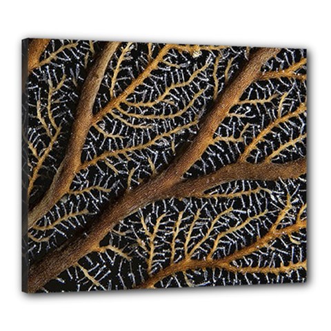 Trees Forests Pattern Canvas 24  X 20 