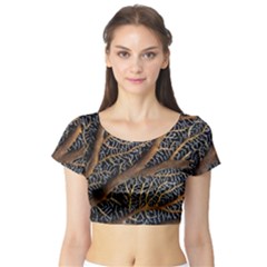 Trees Forests Pattern Short Sleeve Crop Top (tight Fit) by Amaryn4rt