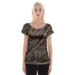 Trees Forests Pattern Women s Cap Sleeve Top by Amaryn4rt