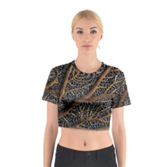 Trees Forests Pattern Cotton Crop Top by Amaryn4rt