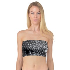 Black Alligator Leather Bandeau Top