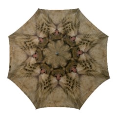 Cute Persian Cat Face In Closeup Golf Umbrellas by Amaryn4rt