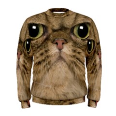 Cute Persian Cat Face In Closeup Men s Sweatshirt by Amaryn4rt