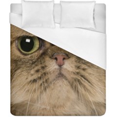 Cute Persian Cat Face In Closeup Duvet Cover (california King Size) by Amaryn4rt