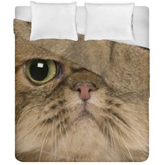 Cute Persian Cat Face In Closeup Duvet Cover Double Side (california King Size) by Amaryn4rt