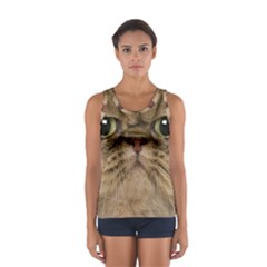 Cute Persian Cat Face In Closeup Women s Sport Tank Top  by Amaryn4rt