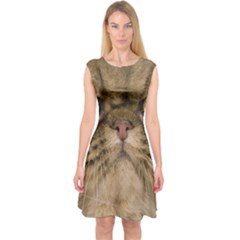 Cute Persian Cat Face In Closeup Capsleeve Midi Dress by Amaryn4rt