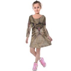 Cute Persian Cat Face In Closeup Kids  Long Sleeve Velvet Dress