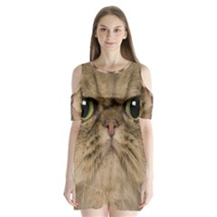 Cute Persian Cat Face In Closeup Shoulder Cutout Velvet  One Piece by Amaryn4rt