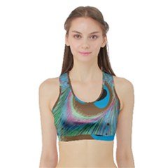 Peacock Feather Lines Background Sports Bra With Border