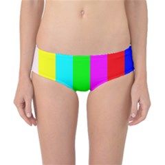 Color Bars & Tones Classic Bikini Bottoms