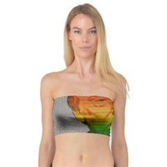 Rainbow Trump  Bandeau Top