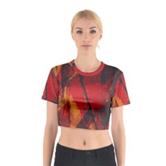 Surface Line Pattern Red Cotton Crop Top by Simbadda