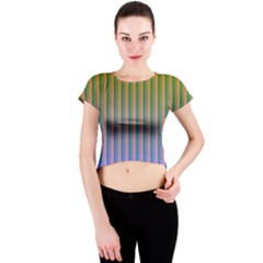 Hald Identity Crew Neck Crop Top by Simbadda