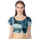 Audrey Hepburn Short Sleeve Crop Top (Tight Fit) View1