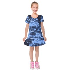 Blue Angel Kids  Short Sleeve Velvet Dress by Valentinaart