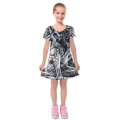 Gray Girl  Kids  Short Sleeve Velvet Dress