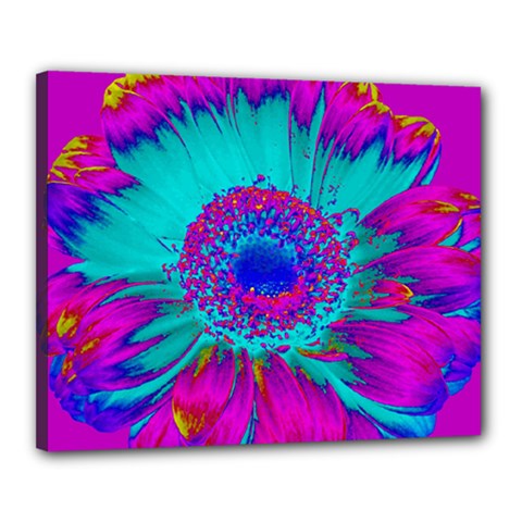 Retro Colorful Decoration Texture Canvas 20  X 16 