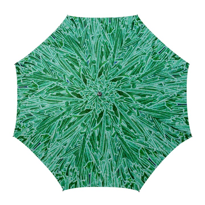 Green Background Pattern Golf Umbrellas