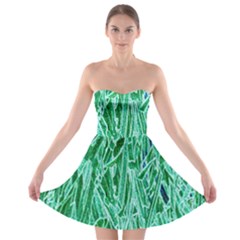 Green Background Pattern Strapless Bra Top Dress