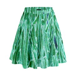 Green Background Pattern High Waist Skirt