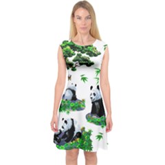 Cute Panda Cartoon Capsleeve Midi Dress