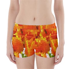 Mosaic Glass Colorful Color Boyleg Bikini Wrap Bottoms by Simbadda