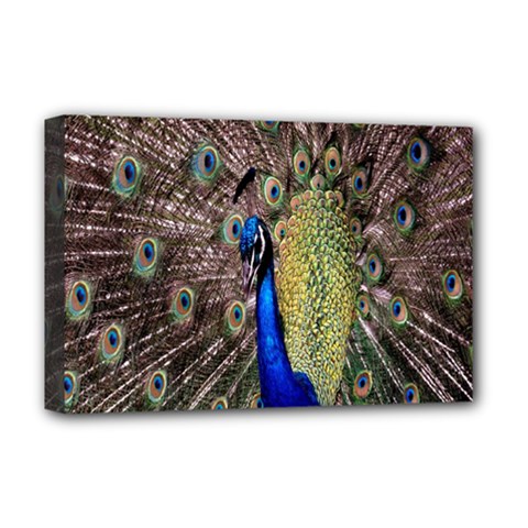 Multi Colored Peacock Deluxe Canvas 18  X 12  