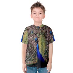 Multi Colored Peacock Kids  Cotton Tee