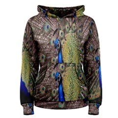 Multi Colored Peacock Women s Pullover Hoodie