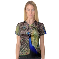 Multi Colored Peacock Women s V-neck Sport Mesh Tee