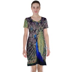 Multi Colored Peacock Short Sleeve Nightdress