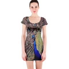 Multi Colored Peacock Short Sleeve Bodycon Dress