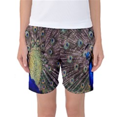 Multi Colored Peacock Women s Basketball Shorts