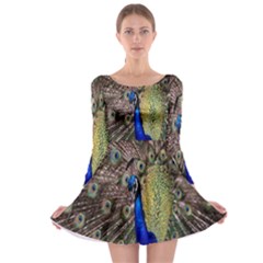 Multi Colored Peacock Long Sleeve Skater Dress