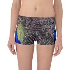 Multi Colored Peacock Boyleg Bikini Bottoms