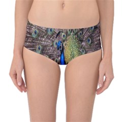 Multi Colored Peacock Mid-waist Bikini Bottoms