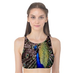 Multi Colored Peacock Tank Bikini Top