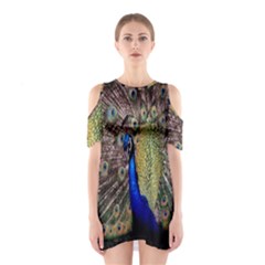 Multi Colored Peacock Shoulder Cutout One Piece