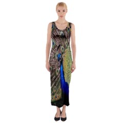 Multi Colored Peacock Fitted Maxi Dress