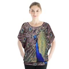 Multi Colored Peacock Blouse