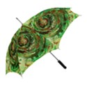 Canvas Acrylic Design Color Straight Umbrellas View2