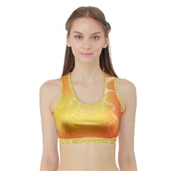 Exotic Backgrounds Sports Bra With Border by Simbadda