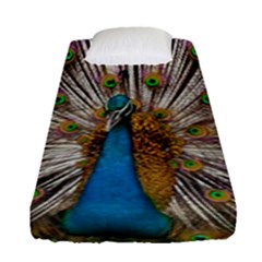 Indian Peacock Plumage Fitted Sheet (single Size)