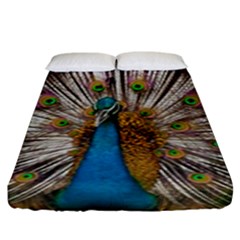 Indian Peacock Plumage Fitted Sheet (king Size)