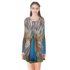 Indian Peacock Plumage Flare Dress