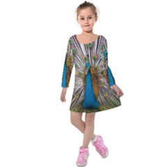 Indian Peacock Plumage Kids  Long Sleeve Velvet Dress by Simbadda