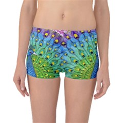 Peacock Bird Animation Boyleg Bikini Bottoms by Simbadda