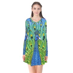 Peacock Bird Animation Flare Dress