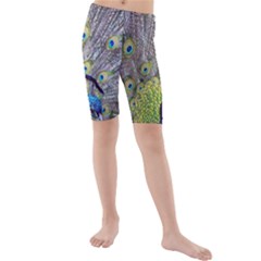 Peacock Bird Feathers Kids  Mid Length Swim Shorts by Simbadda